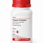 Trypsin Protease